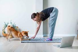 The Ultimate Guide to Online Dog Training: Modern Dog Magazine’s Expert Tips post thumbnail image