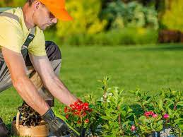 Enhance Your Property’s Beauty: Find a Landscaping Service Near You post thumbnail image