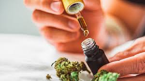 Get the very best expertise when you compare costs linked to Legitimate Cannabis post thumbnail image