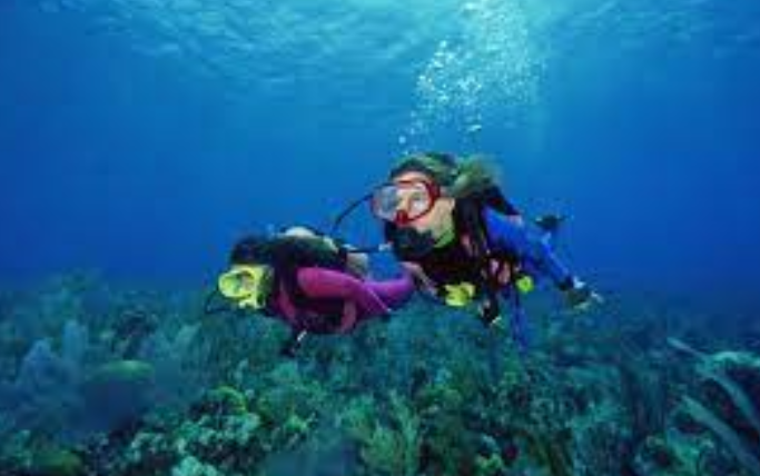 Phuket’s Best Dive Operators: Ensuring Memorable and Safe Experiences post thumbnail image