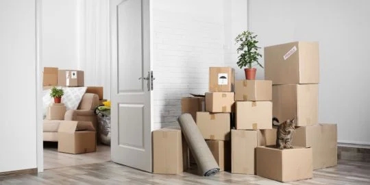 Setting the Standard: Moving Company Gothenburg post thumbnail image