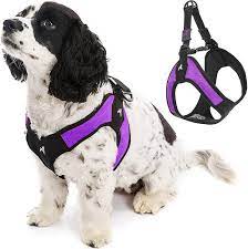 Custom Dog Harness for Beagles: Comfort and Support post thumbnail image