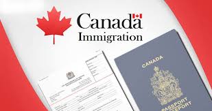Moving Expenditure Immigration in Canada: A Thorough Guide post thumbnail image