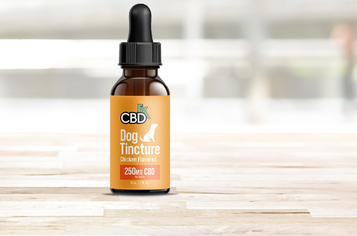 CBD Oil for Puppies: Promoting Healthy Growth post thumbnail image