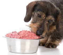 Massapequa’s Canine Culinary Delights: Raw Dog Food Unleashed post thumbnail image