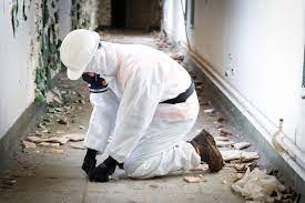 Asbestos Survey Role: Ensuring Building Compliance post thumbnail image