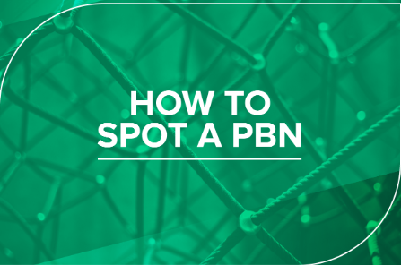 PBN Strategies Unveiled: Building a Powerful Network for Maximum SEO Success post thumbnail image