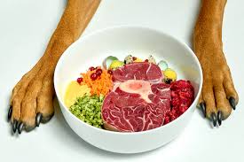 The advantages of a Raw Dog Food Diet: What you should Know post thumbnail image