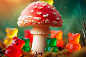 Mystical Munching: A Guide to Amanita Muscaria Gummies Extravaganza post thumbnail image